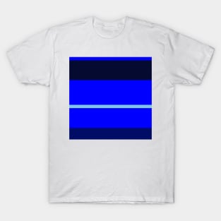 A scarce melt of Sky Blue, Primary Blue, Darkblue and Cetacean Blue stripes. T-Shirt